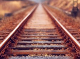 仕入先確保から販売力アップへ