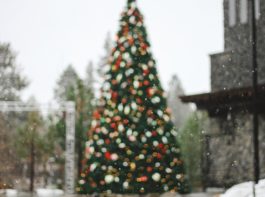 年末年始は３週間休みます。w